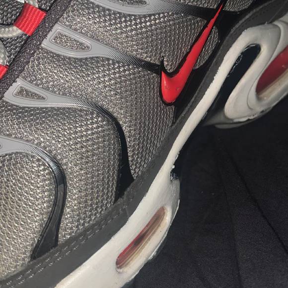 Meet your Posher, Felix - Picture 1 of 1